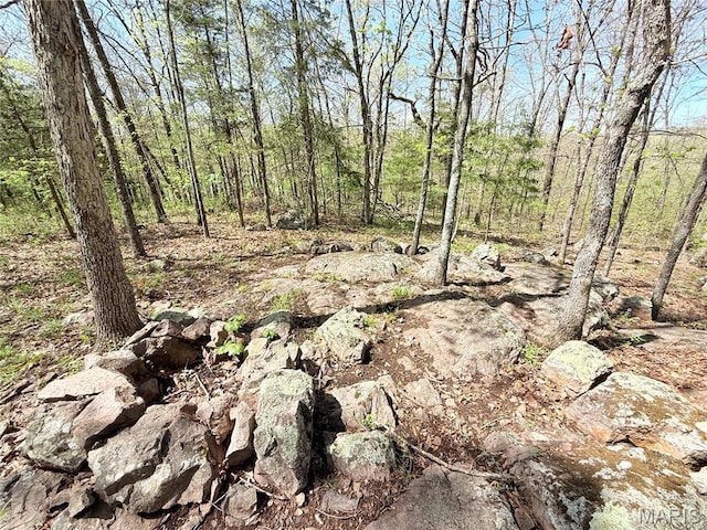 1175 County Road 206, Arcadia, MO 63621 - photo 12