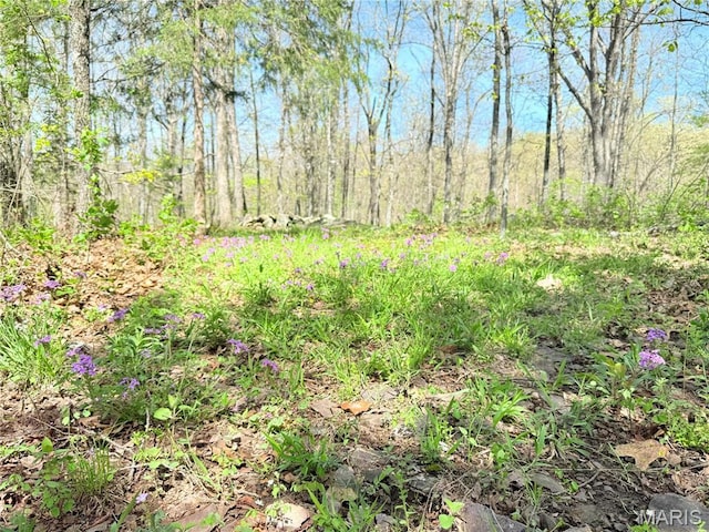 1175 County Road 206, Arcadia, MO 63621 - photo 13