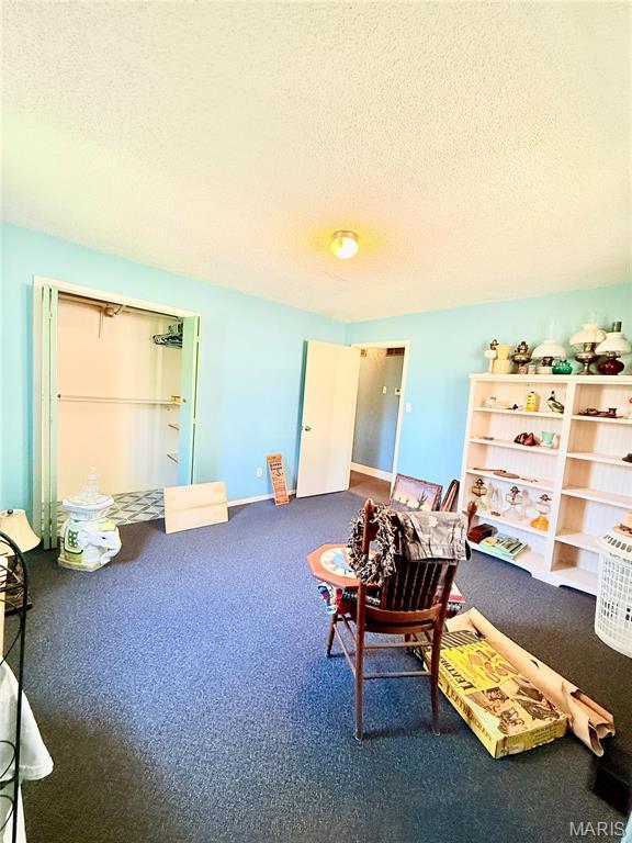 1175 County Road 206, Arcadia, MO 63621 - photo 34