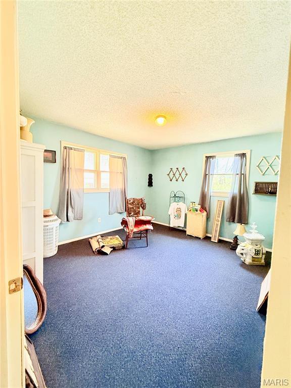 1175 County Road 206, Arcadia, MO 63621 - photo 35
