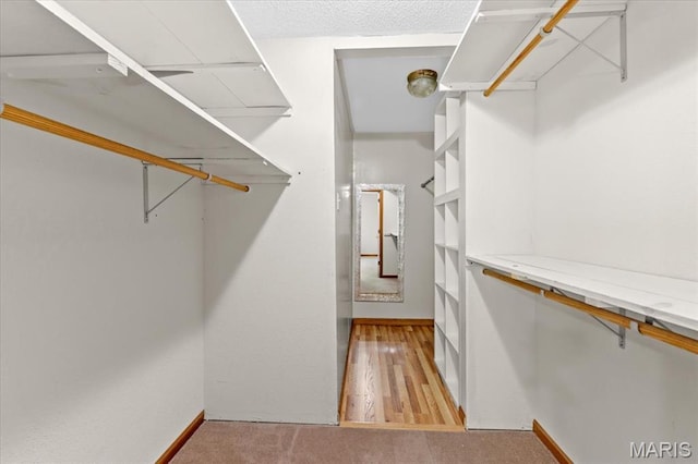 2305 Loretta Ln, Collinsville, IL 62234 - spacious closet with carpet