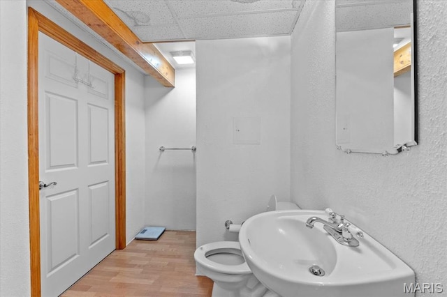 2305 Loretta Ln, Collinsville, IL 62234 - bathroom featuring wood finished floors, a sink, and toilet
