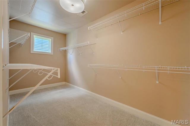 734 Fuhrmann Ter, Glendale, MO 63122 - walk in closet featuring carpet flooring