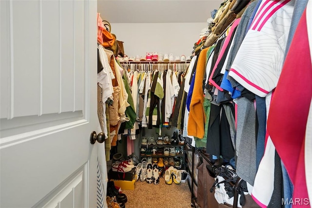 6346 Twin Springs Blvd, Cedar Hill, MO 63016 - walk in closet with carpet floors