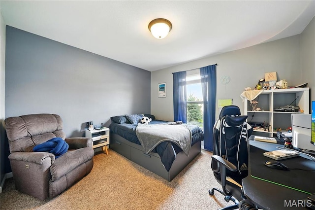 6346 Twin Springs Blvd, Cedar Hill, MO 63016 - bedroom featuring light carpet and an office area