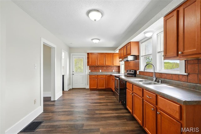1242 Crystal Heights Rd, Crystal City, MO 63019 - kitchen featuring stainless steel range with electric cooktop, a sink, under cabinet range hood, plenty of natural light, and a textured ceiling