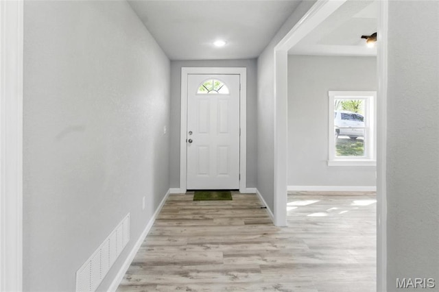 619 E 3rd St, De Soto, MO 63020 - entryway featuring healthy amount of natural light, baseboards, and wood finished floors