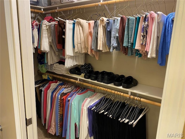 7 Chester Rd, Hannibal, MO 63401 - view of walk in closet