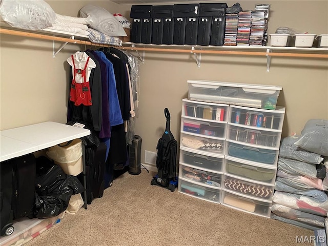 7 Chester Rd, Hannibal, MO 63401 - walk in closet featuring carpet
