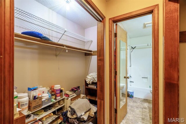 10280 County Road 3110, Rolla, MO 65401 - spacious closet featuring carpet flooring