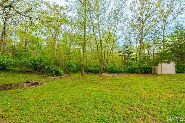 10280 County Road 3110, Rolla, MO 65401 - view of green lawn