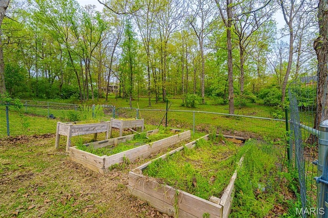 10280 County Road 3110, Rolla, MO 65401 - view of yard with a garden