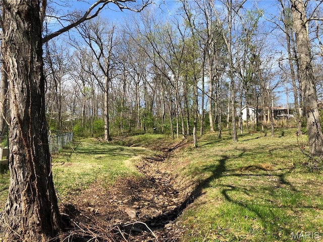 10280 County Road 3110, Rolla, MO 65401 - view of yard