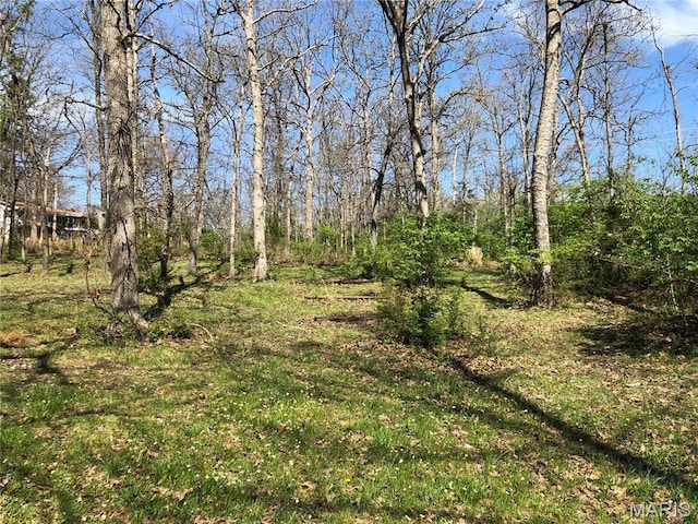 10280 County Road 3110, Rolla, MO 65401 - view of local wilderness