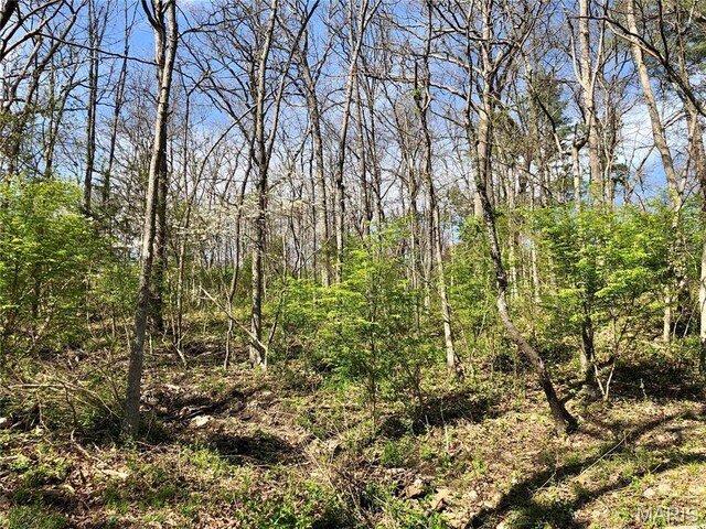 10280 County Road 3110, Rolla, MO 65401 - view of local wilderness