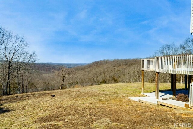 11501 County Road 8490, Newburg, MO 65550 - photo 48