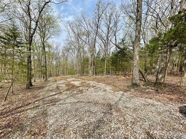0 Lakeview Dr, Saint Genevieve, MO 63670