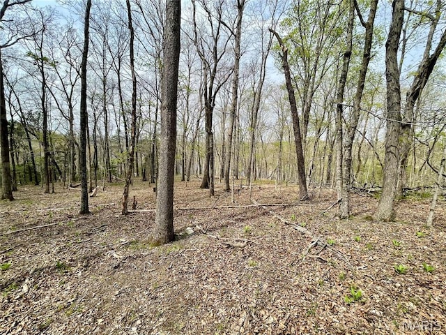0 Lakeview Dr, Saint Genevieve, MO 63670