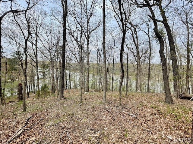 0 Lakeview Dr, Saint Genevieve, MO 63670