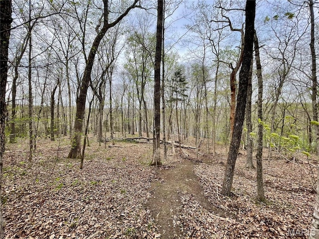 0 Lakeview Dr, Saint Genevieve, MO 63670
