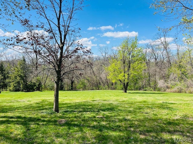 603 Country Club Dr, Hannibal, MO 63401 - photo 6