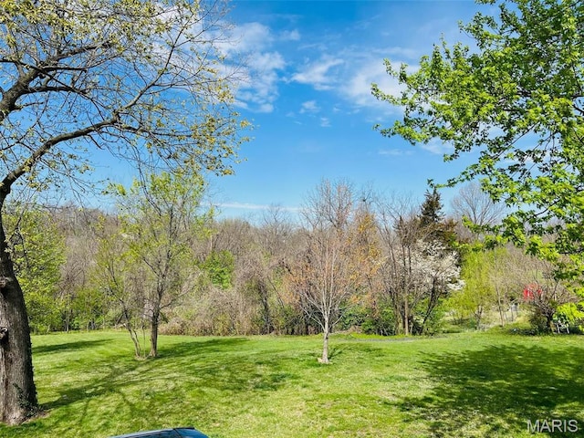 603 Country Club Dr, Hannibal, MO 63401 - photo 8
