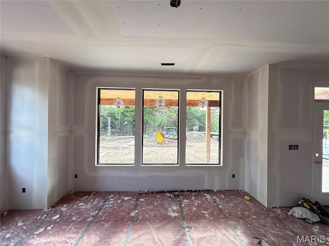 1311 County Road 4180, Salem, MO 65560 - empty room with healthy amount of natural light