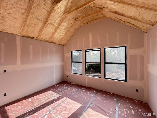 1311 County Road 4180, Salem, MO 65560 - spare room featuring lofted ceiling