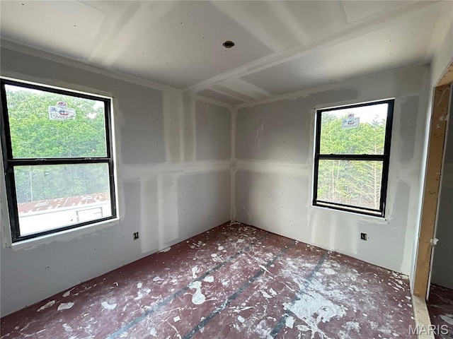 1311 County Road 4180, Salem, MO 65560 - spare room featuring healthy amount of natural light