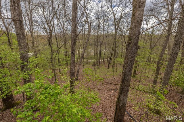 1556 Bliss Lake Dr, Innsbrook, MO 63390 - view of woods