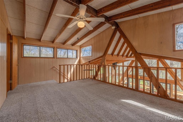 1556 Bliss Lake Dr, Innsbrook, MO 63390 - bonus room featuring ceiling fan, wooden walls, carpet flooring, and plenty of natural light