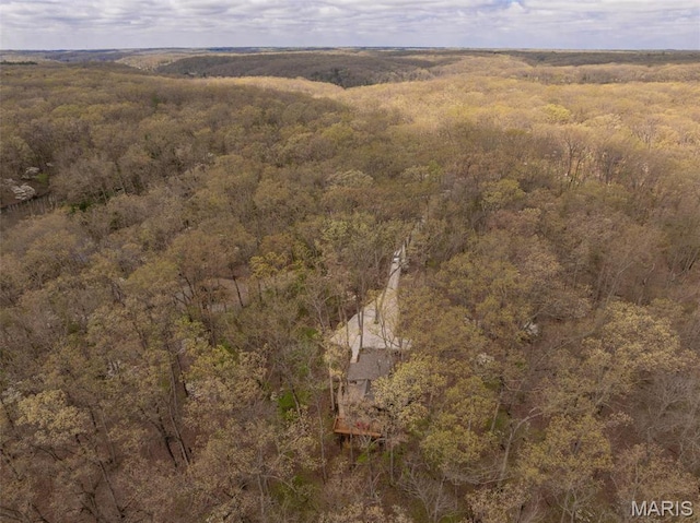 1556 Bliss Lake Dr, Innsbrook, MO 63390 - aerial view of a forest