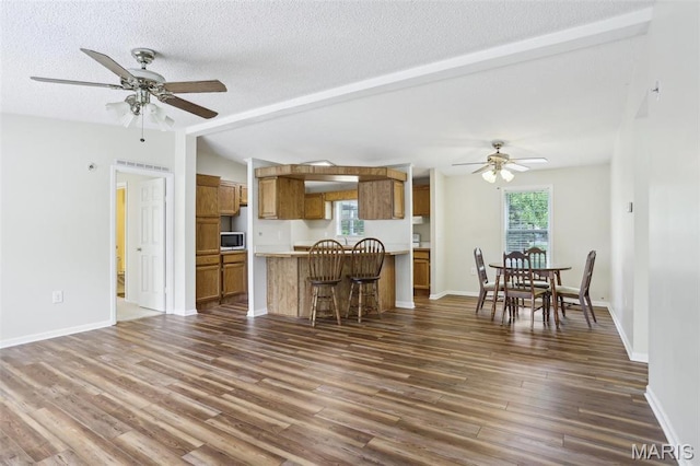 21839 Dove Ln, Carlyle, IL 62231 - living area with a ceiling fan, dark wood finished floors, a textured ceiling, and baseboards