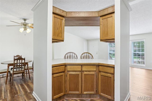 21839 Dove Ln, Carlyle, IL 62231 - kitchen with a textured ceiling, a ceiling fan, light countertops, brown cabinets, and dark wood-type flooring