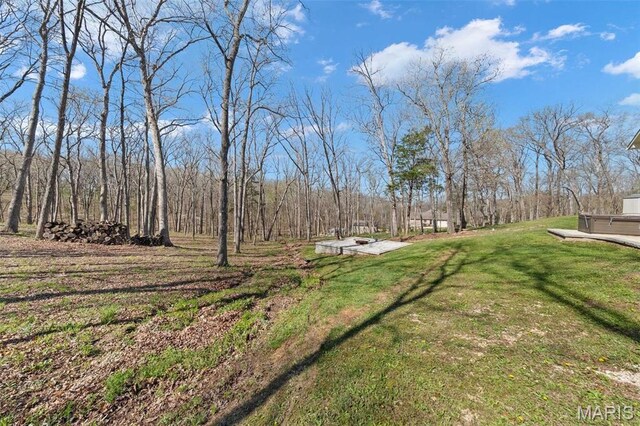 view of green lawn