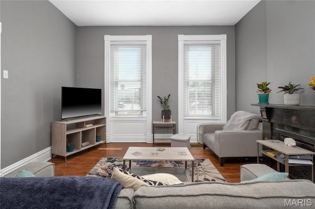 living area featuring wood finished floors