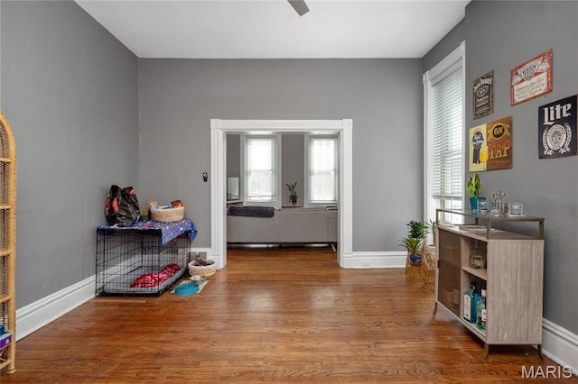 interior space with wood finished floors, healthy amount of natural light, and baseboards