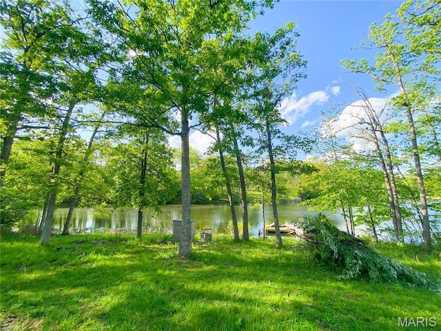 19113 Bent Oak Dr, Warrenton, MO 63383 - water view