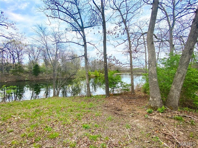 19113 Bent Oak Dr, Warrenton, MO 63383 - water view