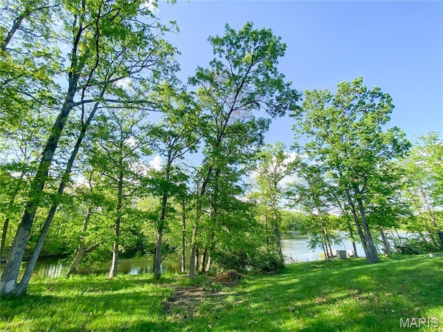 19113 Bent Oak Dr, Warrenton, MO 63383 - view of yard featuring a water view