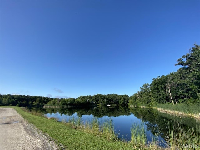 19113 Bent Oak Dr, Warrenton, MO 63383 - water view with a heavily wooded area