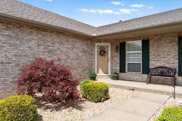 doorway to property with a shingled roof, brick siding, and covered porch