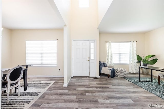 entrance foyer featuring plenty of natural light, wood finished floors, and baseboards