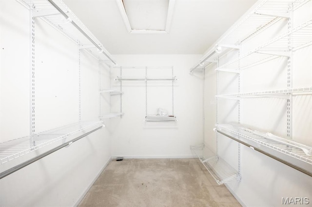 spacious closet with light carpet