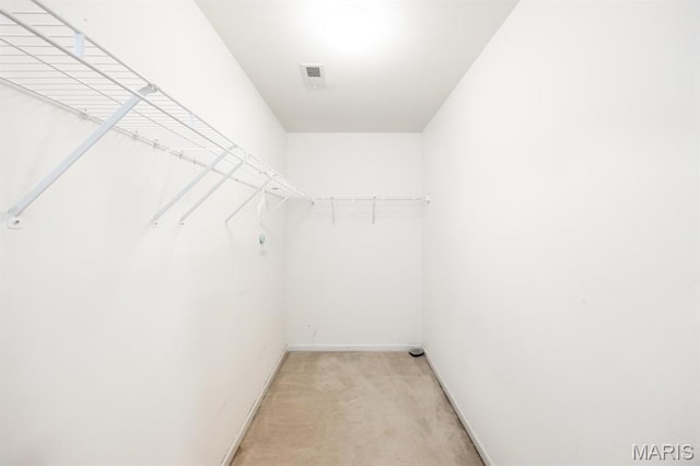 spacious closet with light colored carpet