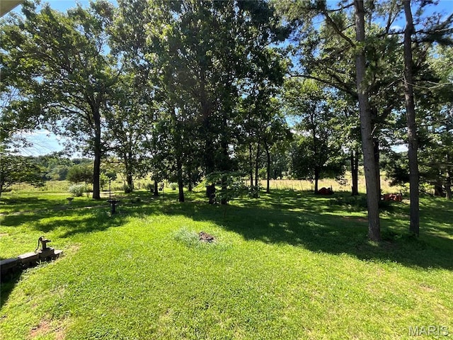 3605 County Road 6760, West Plains, MO 65775 - photo 19