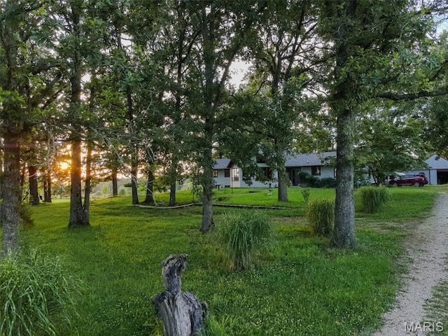 3605 County Road 6760, West Plains, MO 65775 - photo 14