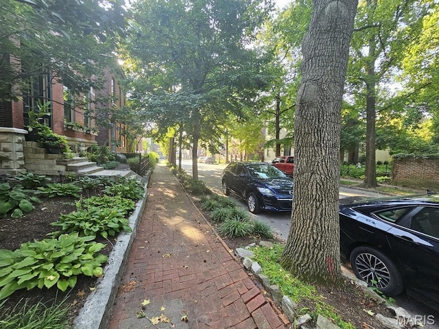 921 Morrison Ave, Saint Louis, MO 63104 - view of street featuring sidewalks and curbs
