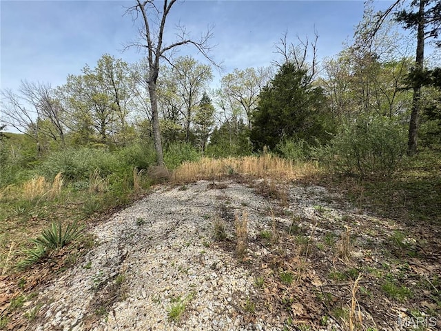 10028 Maple Dr, Lonedell, MO 63060