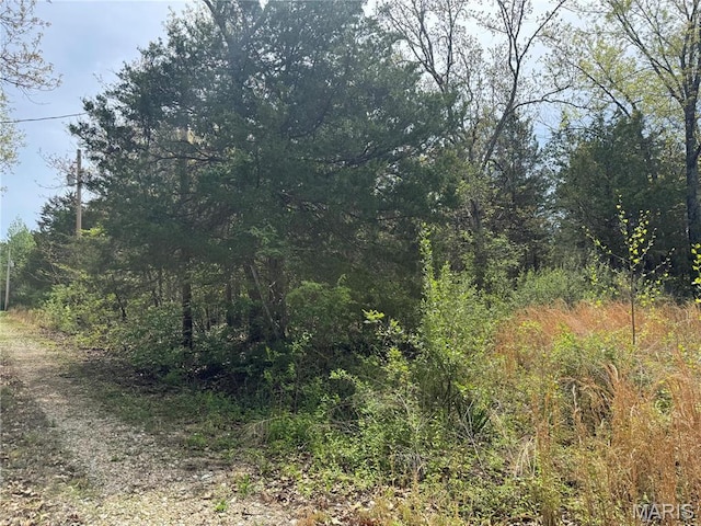 10028 Maple Dr, Lonedell, MO 63060